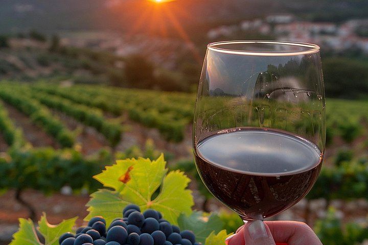 Etna Chauffeur Tour: Farm Tasting, Sapienza Hot Chocolate and Cellar Lunch with 4 Wines (1/12)