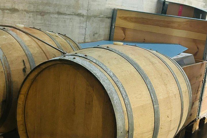 Etna Chauffeur Tour: Farm Tasting, Sapienza Hot Chocolate and Cellar Lunch with 4 Wines (5/12)