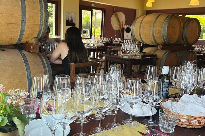 Etna Chauffeur Tour: Farm Tasting, Sapienza Hot Chocolate and Cellar Lunch with 4 Wines (11/12)