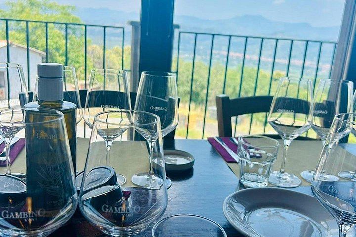 Etna Chauffeur Tour: Farm Tasting, Sapienza Hot Chocolate and Cellar Lunch with 4 Wines (12/12)