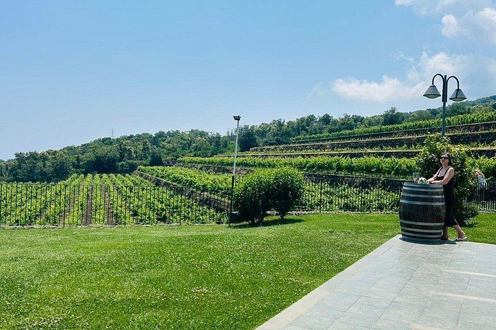 Etna Chauffeur Tour: Farm Tasting, Sapienza Hot Chocolate and Cellar Lunch with 4 Wines (7/12)