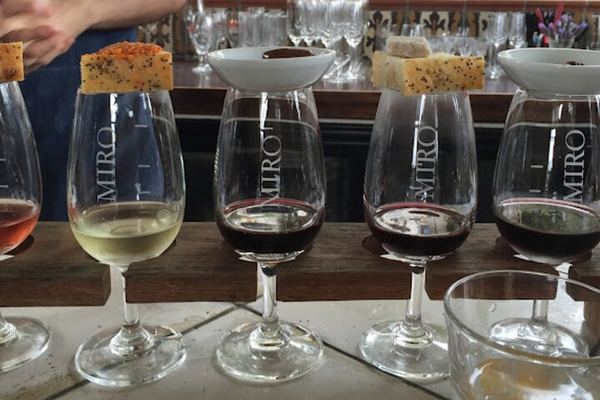 Waiheke Flavours Tour: Wine, Olive Oil, Craft Beer and Spirits with Lunch, 11 Max