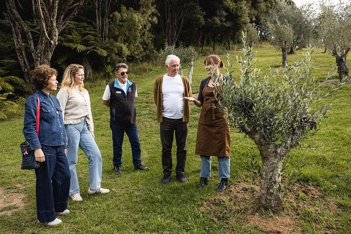 Waiheke Gourmet Food and Wine Tour with Ananda Tours: Oysters, Olive Oil, Whisky (6/12)