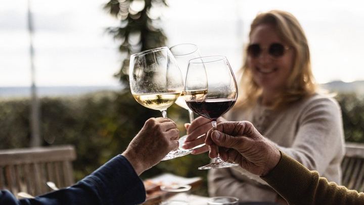 Waiheke Half-Day Scenic Wine Tour: Two Vineyards, Platter Lunch, 12pm Ferry (4/11)
