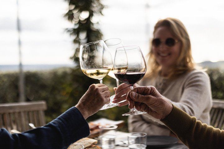 Waiheke Half-Day Scenic Wine Tour: Two Vineyards, Platter Lunch, 12pm Ferry (4/11)