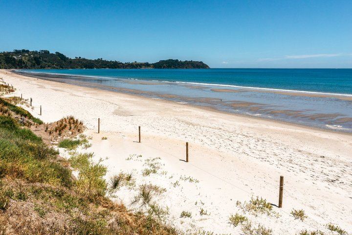 Waiheke Half-Day Scenic Wine Tour: Two Vineyards, Platter Lunch, 12pm Ferry (10/11)