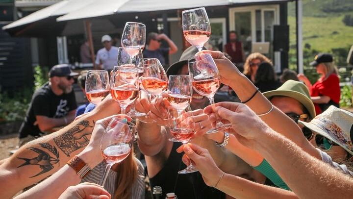 Waiheke Island Wine Tour by Enjoi NZ: 3 to 4 Award-Winning Vineyards, Lunch Stop (3/12)