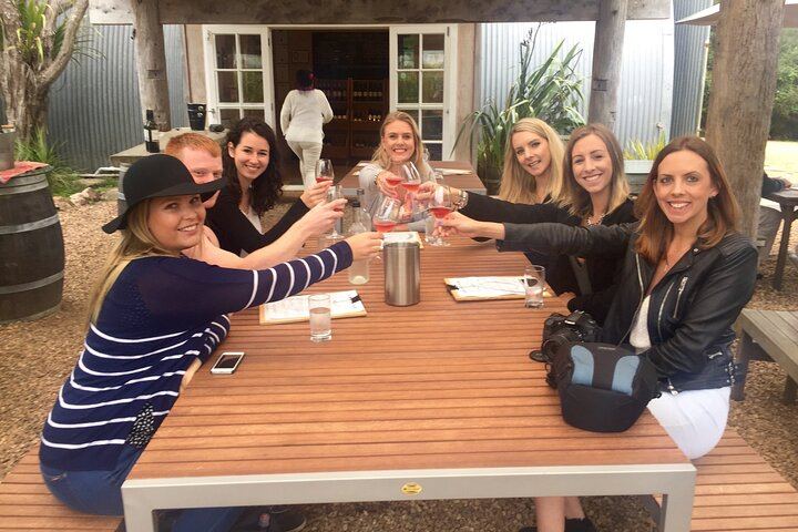 Waiheke Island Wine Tour by Enjoi NZ: 3 to 4 Award-Winning Vineyards, Lunch Stop (11/12)