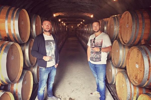 Waiheke Island Wine Tour by Enjoi NZ: 3 to 4 Award-Winning Vineyards, Lunch Stop