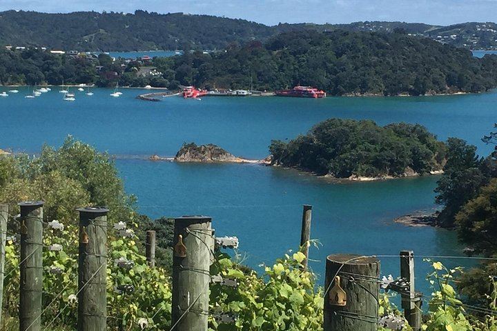 Waiheke Best Cellar Tour: Family-Run Small Group, 11 Guests Max, 3 Vineyards (7/12)