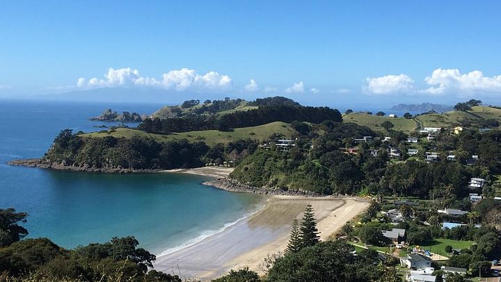 Private Waiheke Wine Tour with Waitiki Tours: Three Boutique Vineyards (1/12)