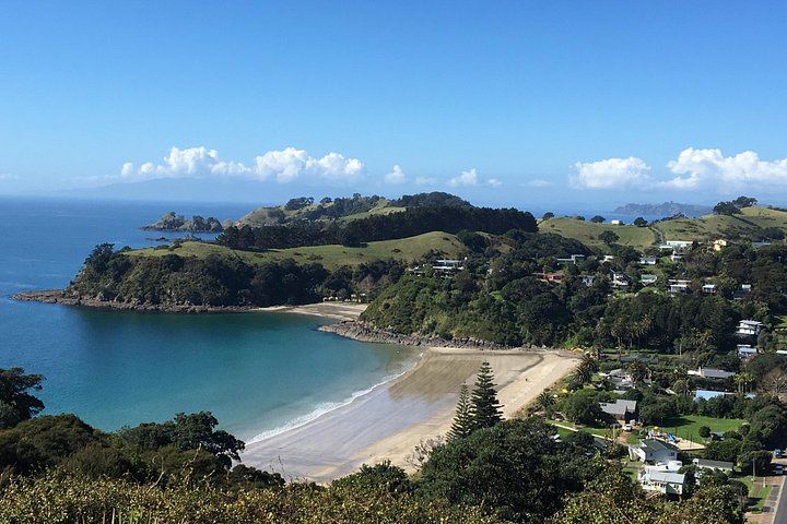 Private Waiheke Wine Tour with Waitiki Tours: Three Boutique Vineyards (1/12)