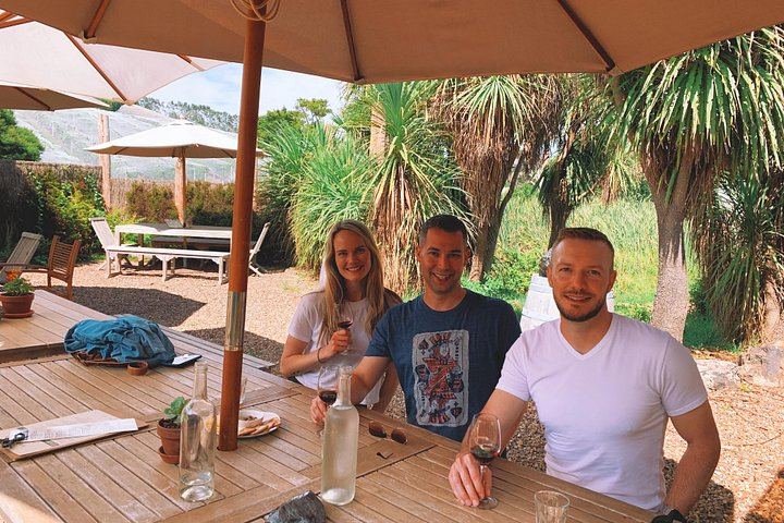 Private Waiheke Wine Tour with Waitiki Tours: Three Boutique Vineyards (11/12)