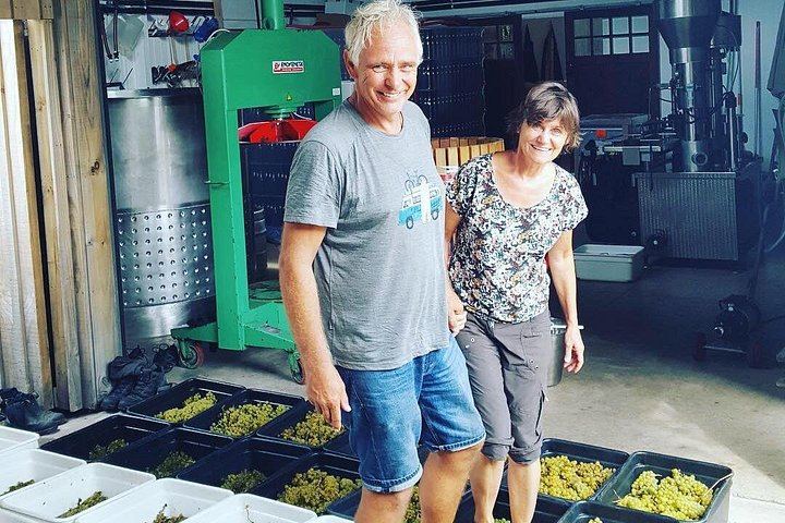 Private Waiheke Wine Tour with Waitiki Tours: Three Boutique Vineyards (9/12)
