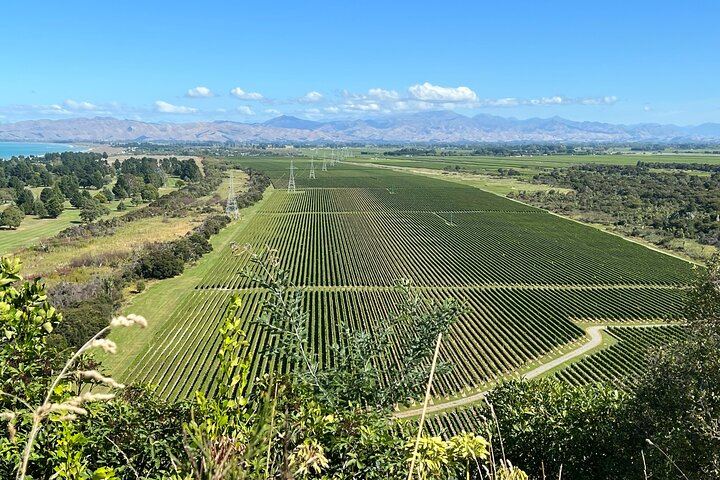 Marlborough Wine Tour from the Port of Picton for Cruise Passengers, 4-5 Hours (6/10)