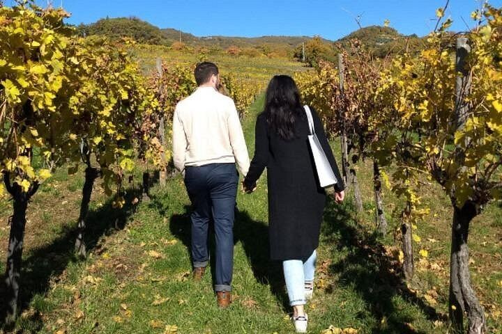 Pagus Full-Day Valpolicella Tour from Verona: Two Wineries, Amarone and Osteria Lunch (9/9)