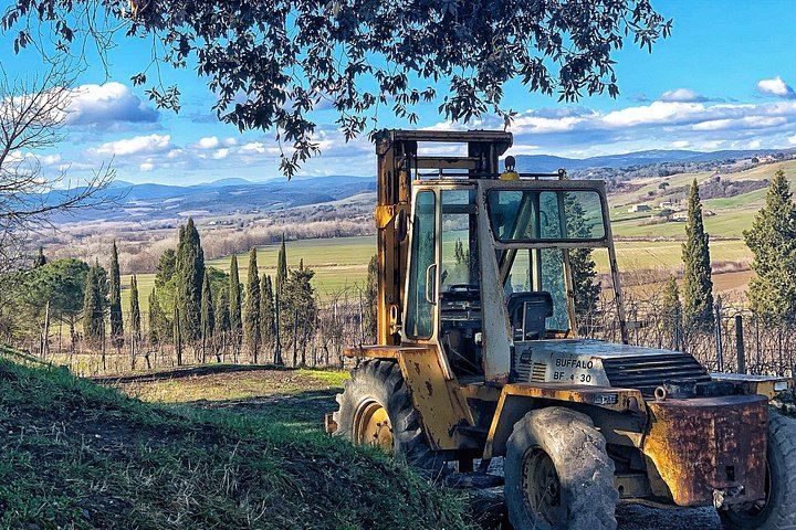 Private Guided Brunello Tasting in Montalcino: Wine Estates, Cellars and Sant'Antimo Abbey (6/7)