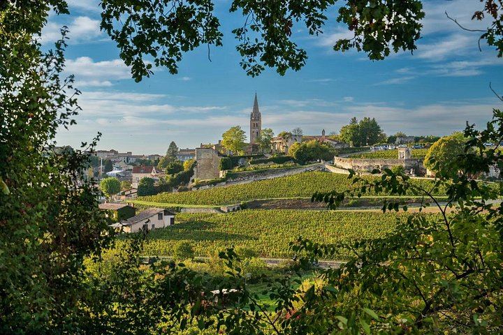 Private Médoc and Saint-Émilion Day: 1855 Château and Grand Cru Classé (2/6)