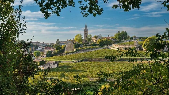 Private Médoc and Saint-Émilion Day: 1855 Château and Grand Cru Classé (2/6)