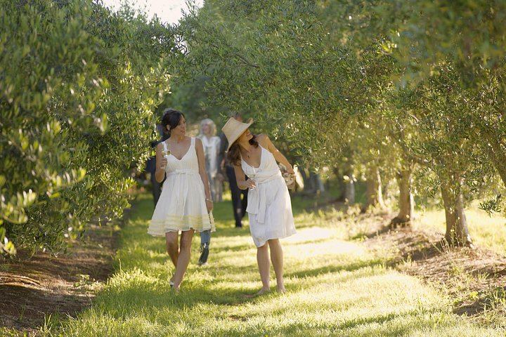 Small-Group Yarra Valley Afternoon Tour: Chandon, Chocolate and Sunset Kangaroos (7/12)