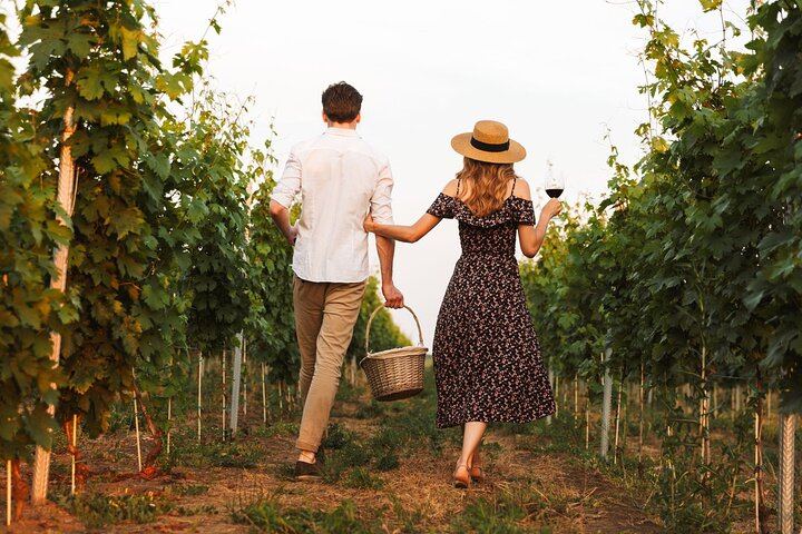 Quiet Private Chianti Classico Tasting at Two Family Wineries with a Local-Born Guide (9/12)