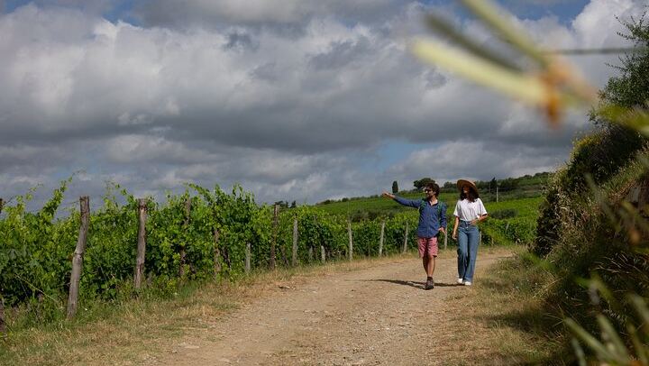 Chianti Classico Hiking Day from Florence: 7 km Walk, 3 Organic Wineries and Lunch (2/12)