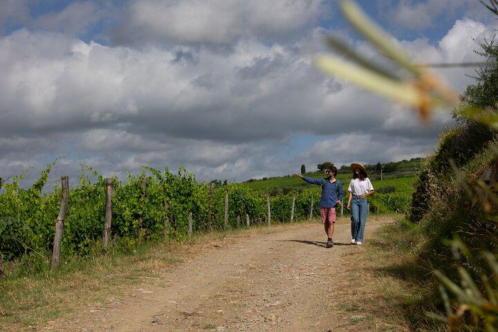 Chianti Classico Hiking Day from Florence: 7 km Walk, 3 Organic Wineries and Lunch (2/12)