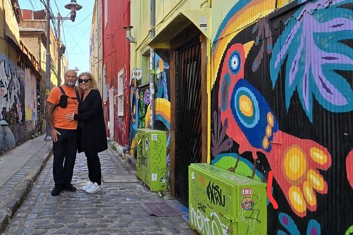 Small-Group Valparaiso Hills Walk with Veramonte Organic and Viñamar Wine Tastings (4/5)