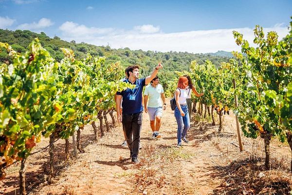 Small-Group Arrábida and Sesimbra Day Trip from Lisbon with Two Wine Tastings