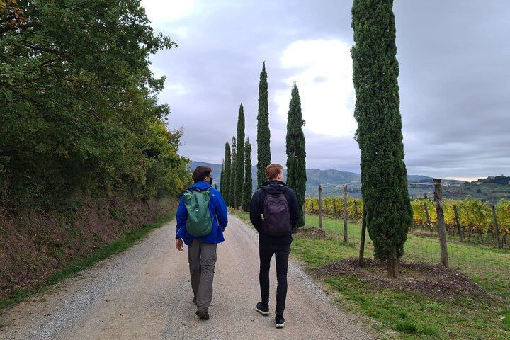 Chianti Classico Hiking Day from Florence: 7 km Walk, 3 Organic Wineries and Lunch (11/12)