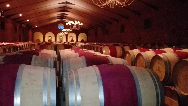 Private Customisable Stellenbosch Wine Tour: Flexible Route, Pay-As-You-Taste Fees (4/11)