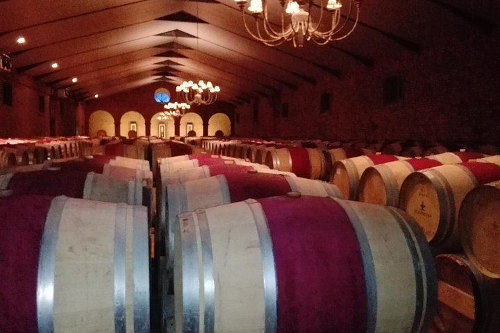 Private Customisable Stellenbosch Wine Tour: Flexible Route, Pay-As-You-Taste Fees (4/11)