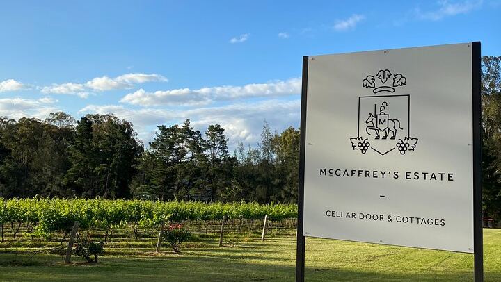 Seated Wine and Cheese Tasting at McCaffrey's Estate, a Family-Run Hunter Valley Winery (4/9)