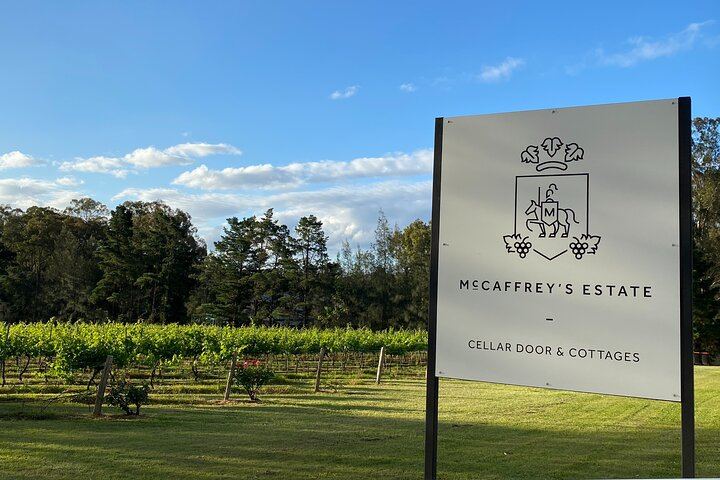 Seated Wine and Cheese Tasting at McCaffrey's Estate, a Family-Run Hunter Valley Winery (4/9)