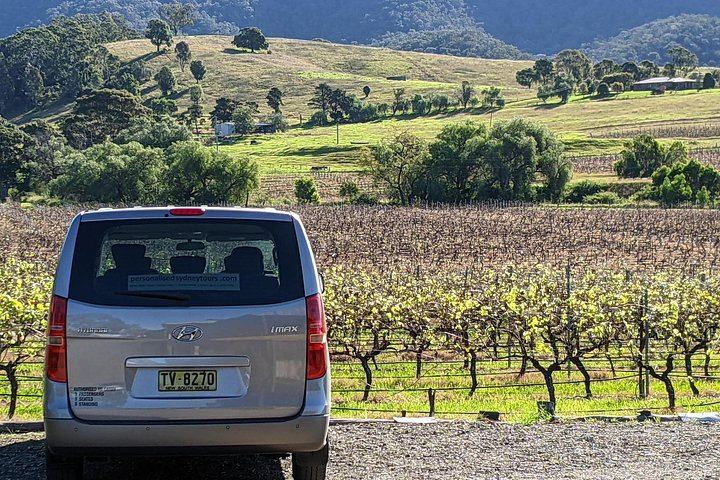 Owner-Led Hunter Valley Day Tour from Sydney: Wine, Cheese, Chocolate and Coffee Stop (7/12)