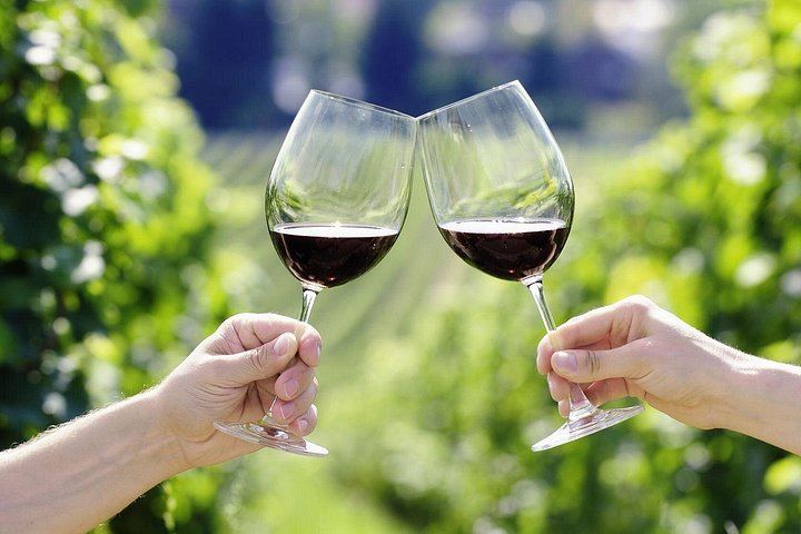 Small-Group Horseback Ride with Winery Lunch and San Gimignano Visit (5/12)