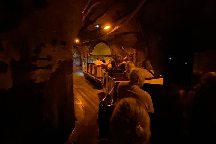 Champagne Day Trip from Paris: Mercier Cellar Train, Dom Caudron, Verzenay Vineyard Picnic (11/12)