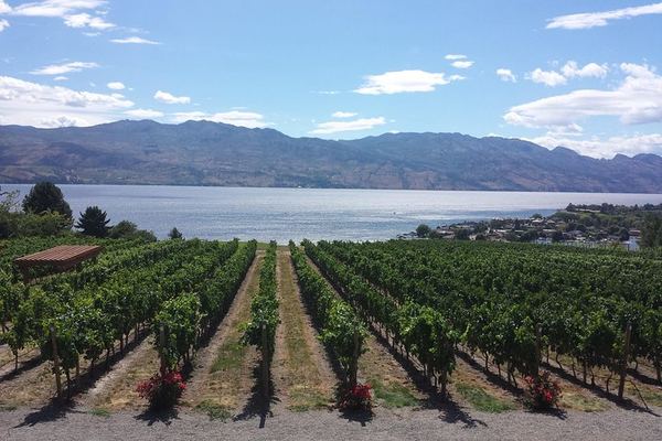 West Kelowna Gallery of Grapes Wine Tour: Tastings at 5 Okanagan Wineries