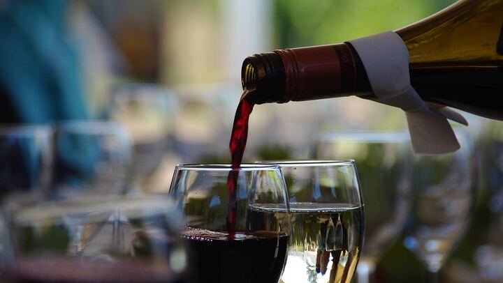 West Kelowna Wine Trail with Metropolis Wine Tours: 5 Wineries, Costume-Friendly Tour (4/5)