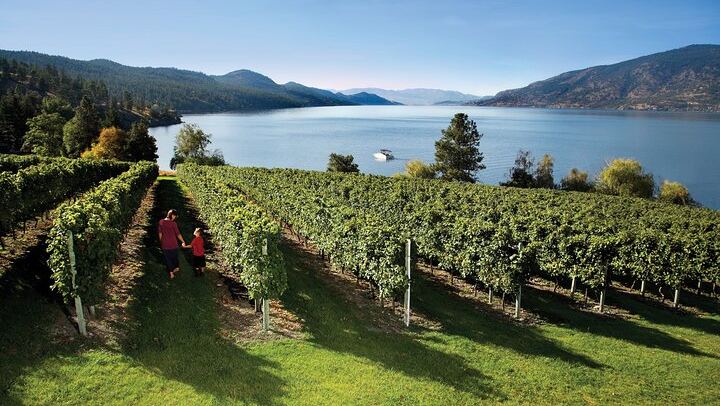 West Kelowna Wine Trail with Metropolis Wine Tours: 5 Wineries, Costume-Friendly Tour (2/5)