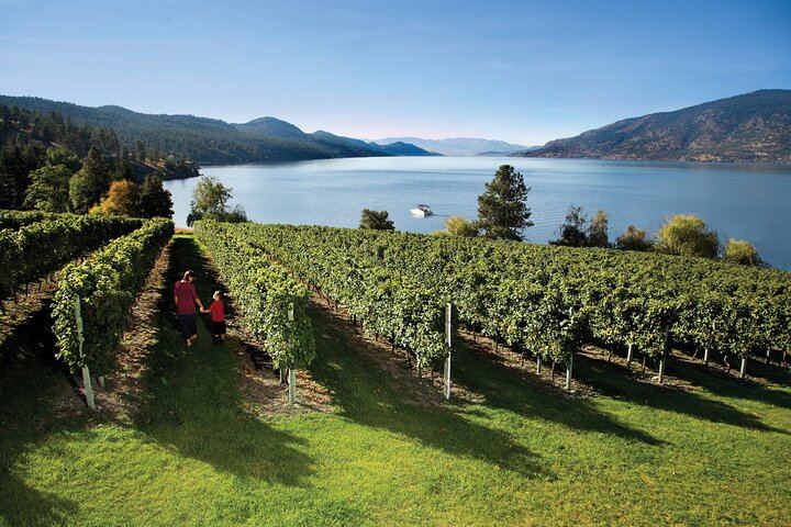 West Kelowna Wine Trail with Metropolis Wine Tours: 5 Wineries, Costume-Friendly Tour (2/5)