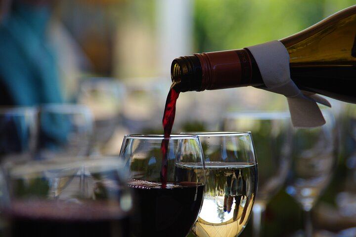 West Kelowna Wine Trail with Metropolis Wine Tours: 5 Wineries, Costume-Friendly Tour (4/5)