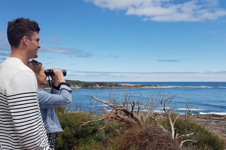 Margaret River Full-Day Hidden Gems Tour: Family Producers, Olive Farm Lunch, Emu Feeding (8/12)