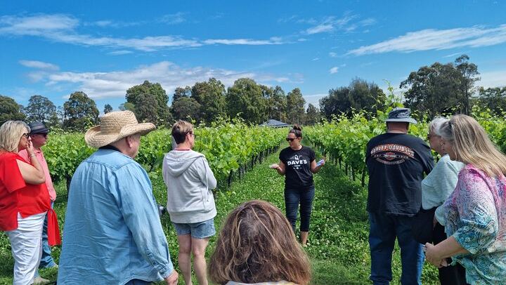 Hunter Valley Grains and Grapes Day Tour from Sydney: Wine, Cheese, Spirits, Lunch (2/12)