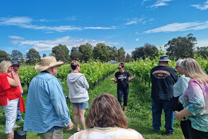 Hunter Valley Grains and Grapes Day Tour from Sydney: Wine, Cheese, Spirits, Lunch (2/12)