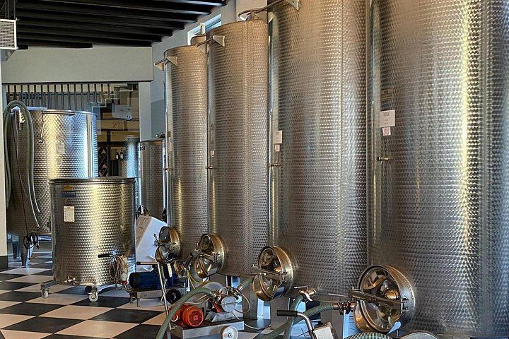 Private Sommelier-Led Langhe Hills Day: Barolo and Barbaresco Wineries, Osteria Lunch (11/12)