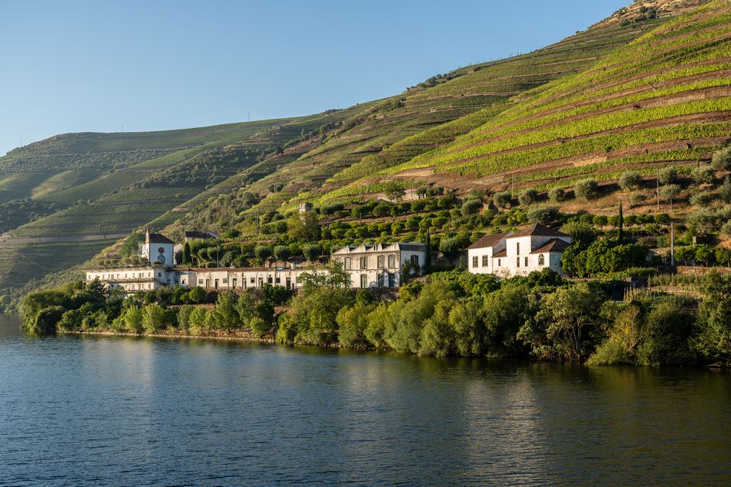 Whitewashed quinta buildings on the banks of the Douro river near Pinhão, Portugal, below steep terraced vineyard slopes in morning light