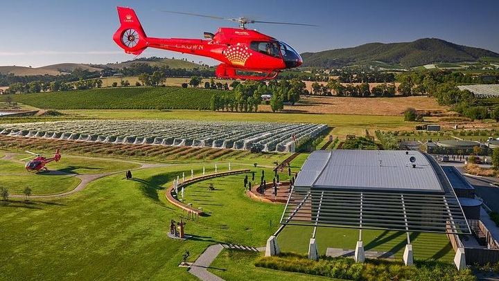 Private Yarra Valley Day Tour: Healesville Sanctuary, Cellar Doors and a Gin Distillery (1/5)