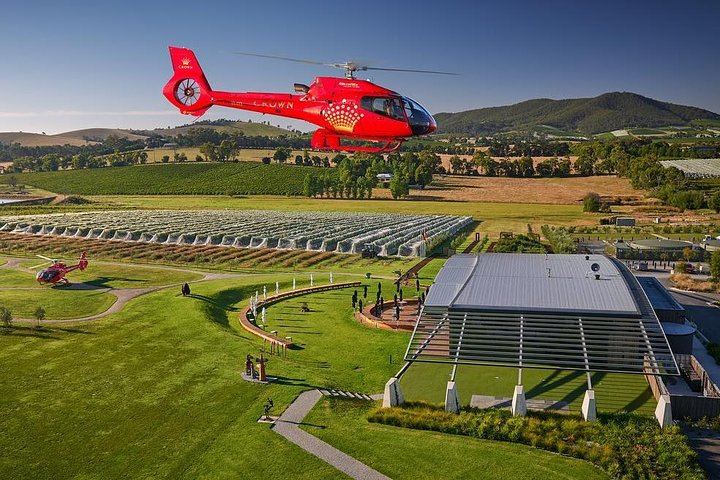 Private Yarra Valley Day Tour: Healesville Sanctuary, Cellar Doors and a Gin Distillery (1/5)