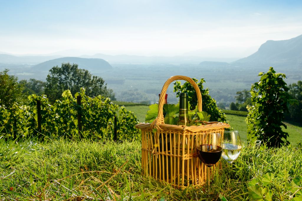 Wicker basket with a wine bottle and two glasses on the grass beside vines, with hazy mountains behind